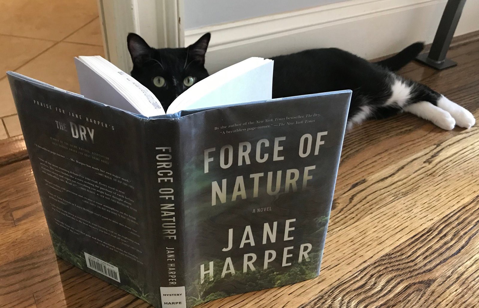  Harper y su novela Naturaleza Salvaje nos impedirá leer otra cosa hasta acabar el libro