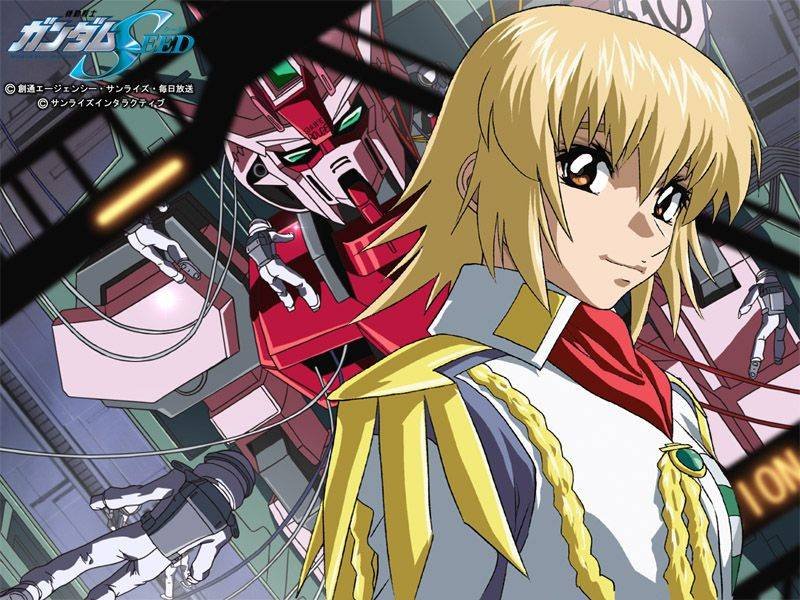 Gundam Seed.